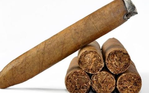 探索泰山都市丛林雪茄的烟草宝藏！
