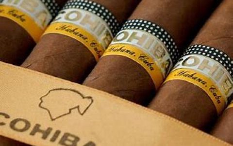 古巴十大顶级雪茄品牌之REYDELMUNDO，探寻古巴十大顶级雪茄品牌之REYDELMUNDO的魅力